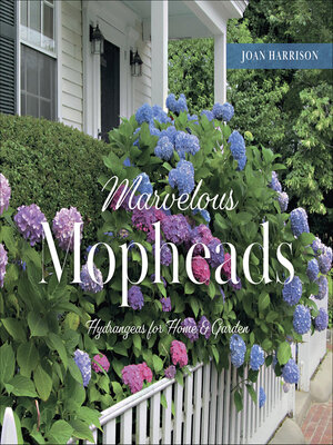 cover image of Marvelous Mopheads